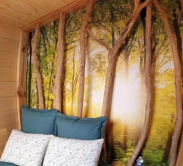 Kabanéo   Gîte Et Sauna  Samois Sur Seine   Forêt De Fontainebleau