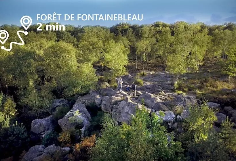 Kabanéo   Gîte Et Sauna  Samois Sur Seine   Forêt De Fontainebleau