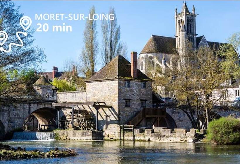 Kabanéo   Gîte Et Sauna  Samois Sur Seine   Forêt De Fontainebleau