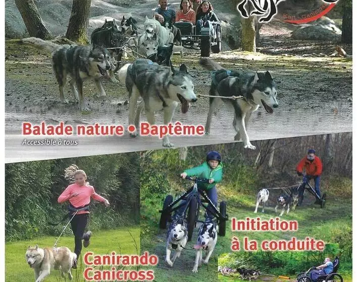 Kabanéo   Gîte Et Sauna  Samois Sur Seine   Forêt De Fontainebleau