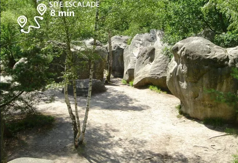 Kabanéo   Gîte Et Sauna  Samois Sur Seine   Forêt De Fontainebleau