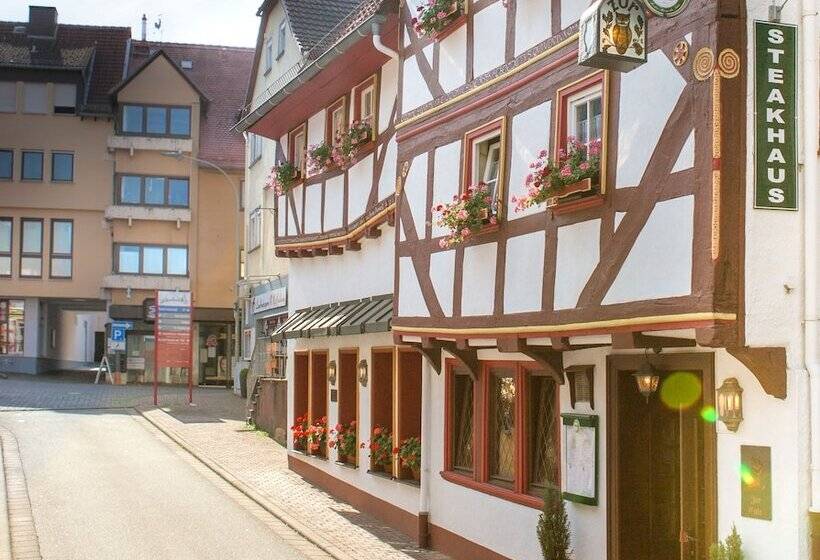 بنسيون Eulennest