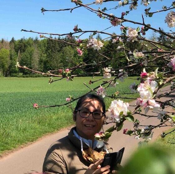 بنسيون Eulennest