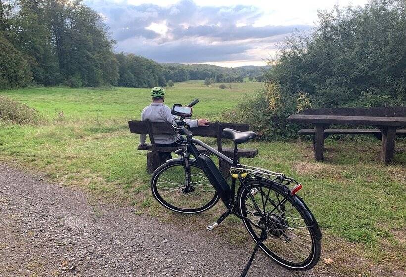 بنسيون Eulennest