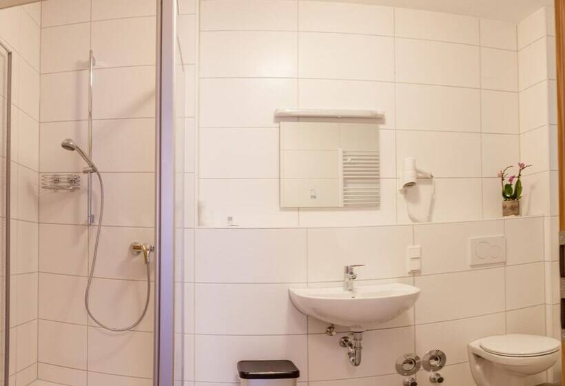 بنسيون Eulennest