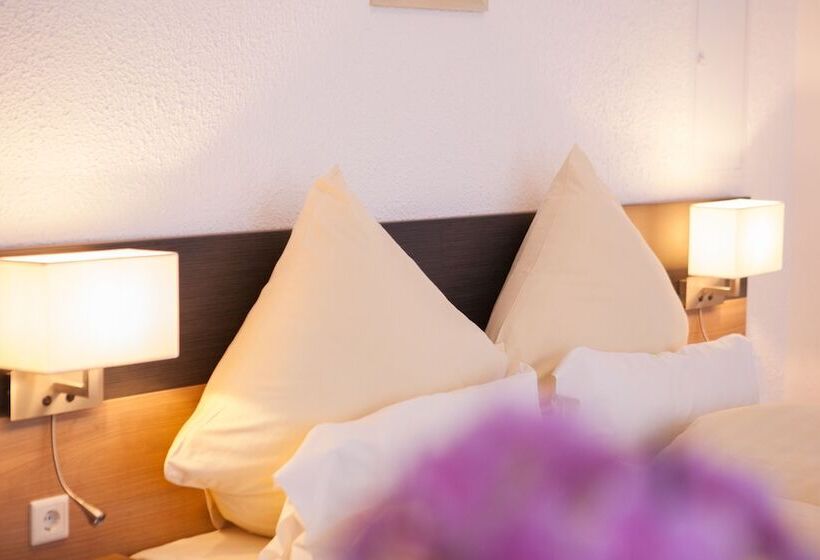 بنسيون Eulennest