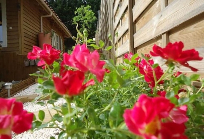 بنسيون Le Chalet Des Trois Quilles