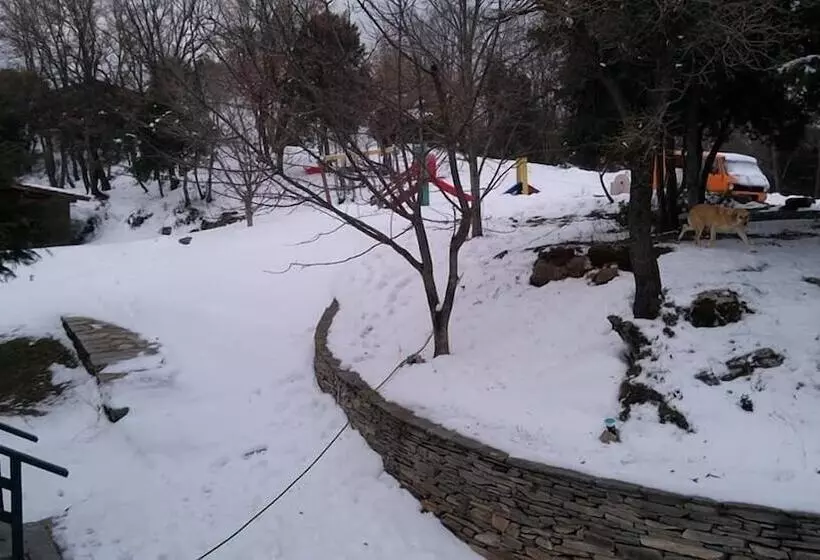 Majatalo Pangeo Forest Village