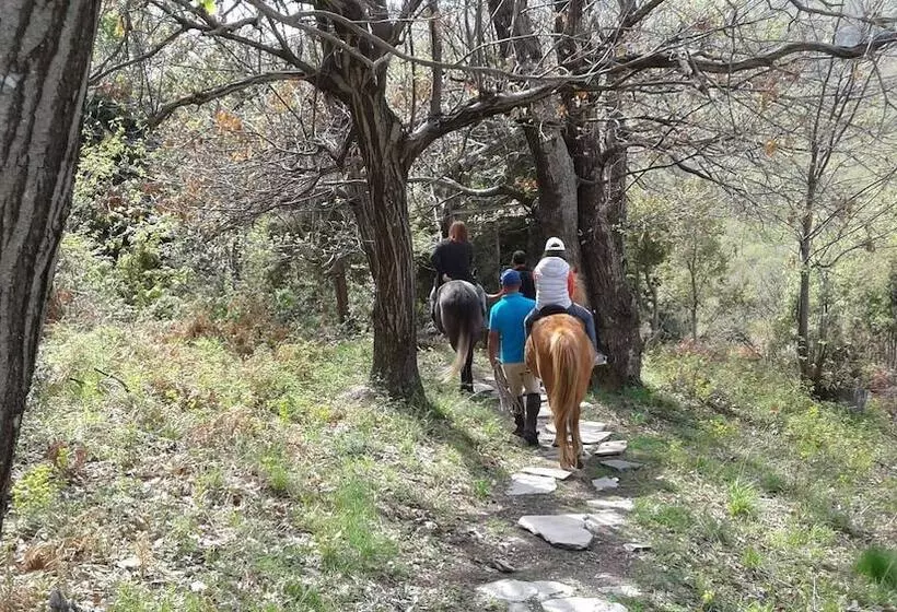 Majatalo Pangeo Forest Village
