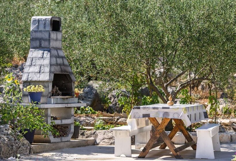 Apartments Beba Peaceful Location