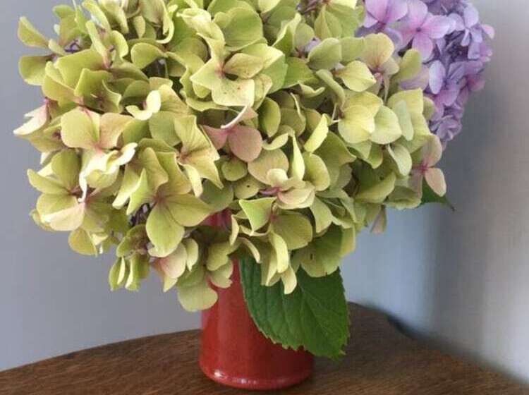 住宿加早餐 Castel De La Terrasse