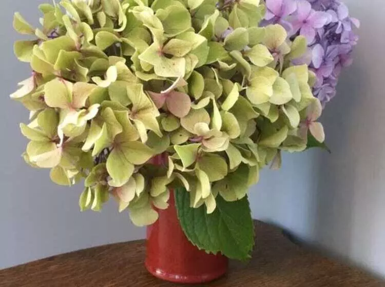 Aamiaismajoitus (B&B) Castel De La Terrasse