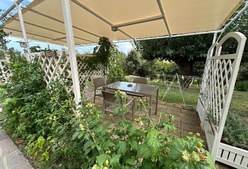 בית מלון כפרי Agriturismo Case Al Sole