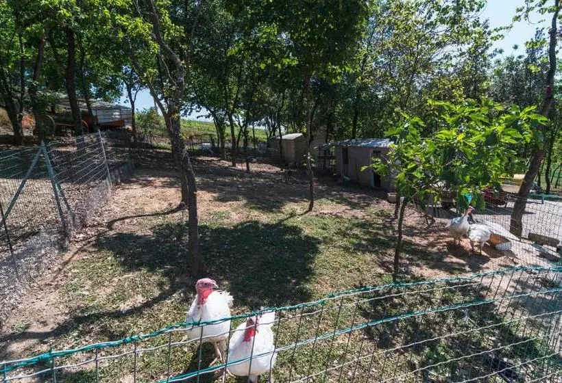 田舎風ホテル Agriturismo Case Al Sole