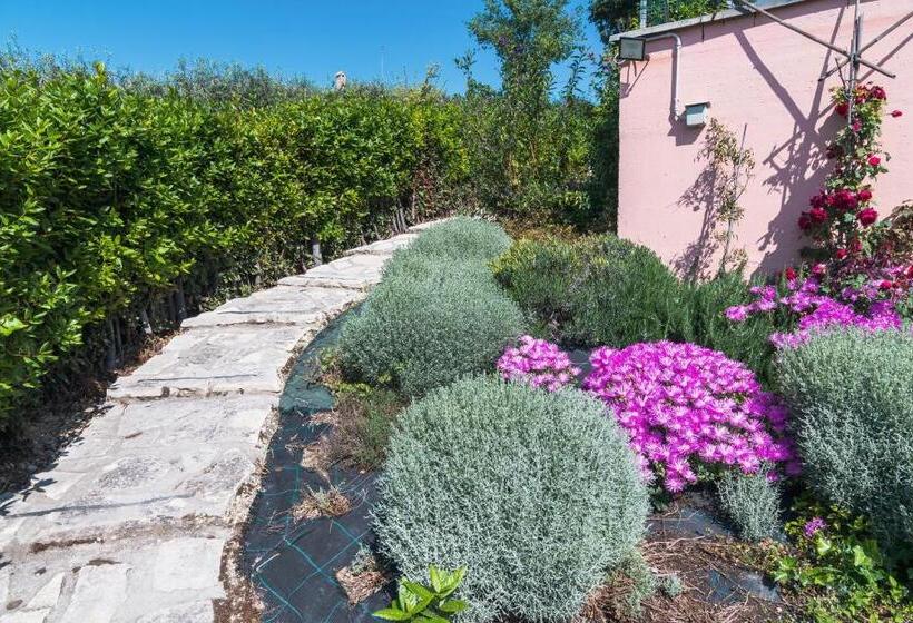 בית מלון כפרי Agriturismo Case Al Sole