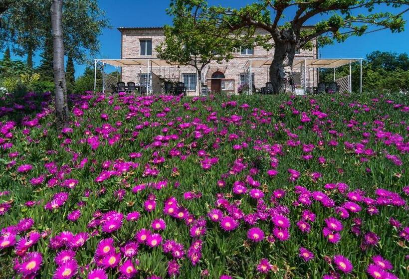 בית מלון כפרי Agriturismo Case Al Sole