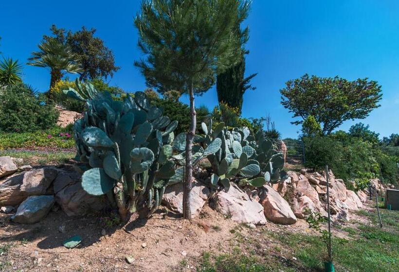 בית מלון כפרי Agriturismo Case Al Sole