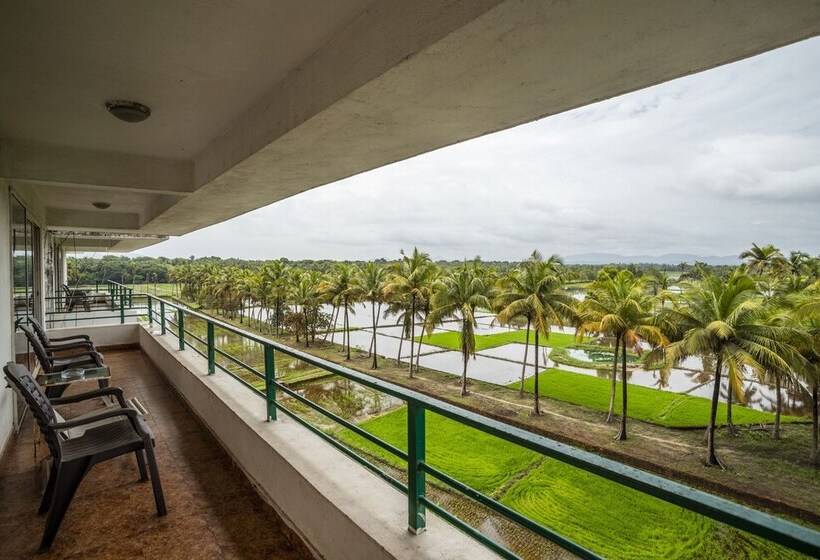 Serenity By The Origami Collection