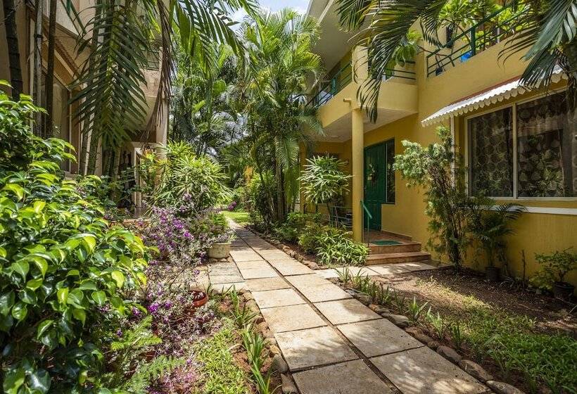 Serenity By The Origami Collection