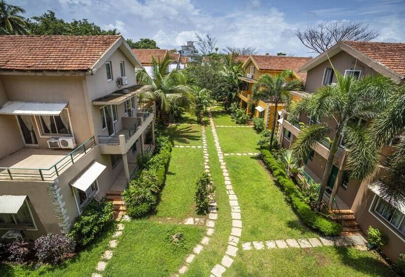 Serenity By The Origami Collection