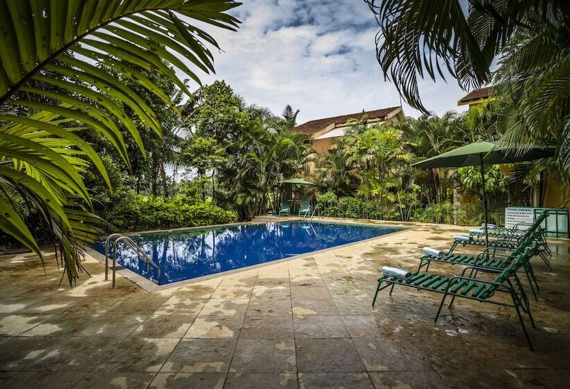 Serenity By The Origami Collection