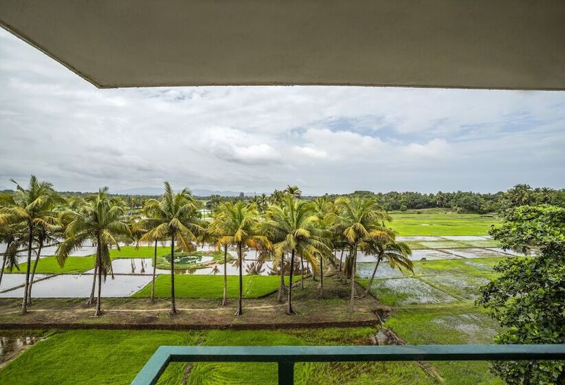 Serenity By The Origami Collection