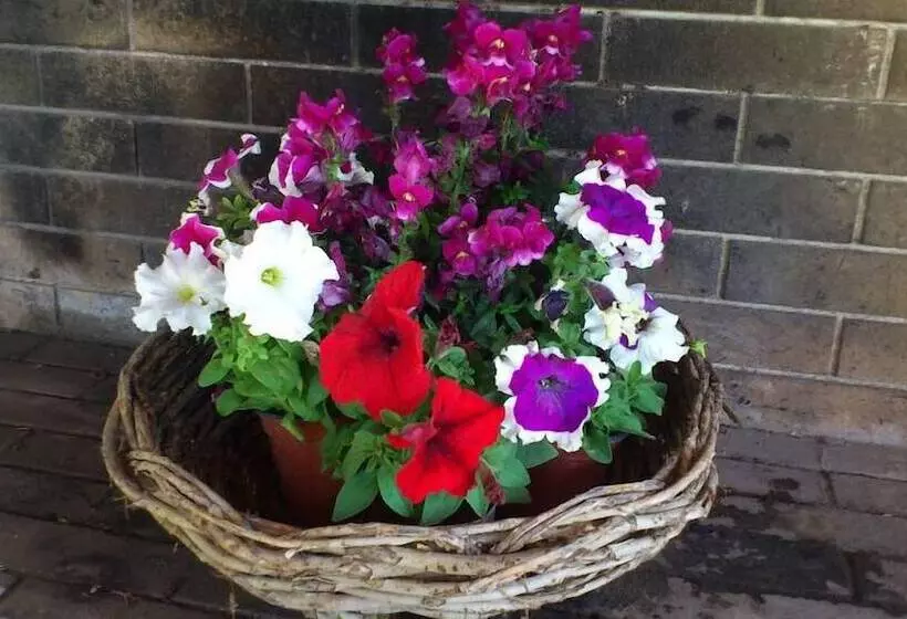 Villa Anastasia Beach Front