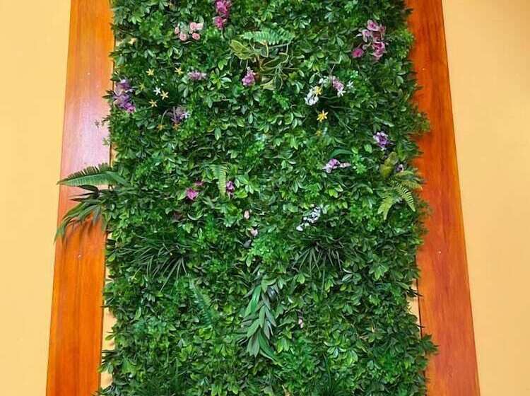 Hotel Timon Del Shaddai