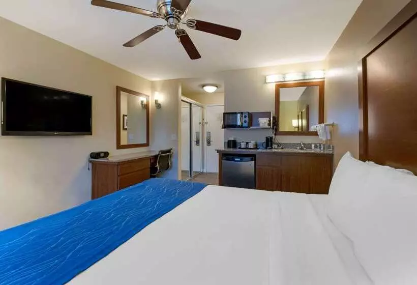 Отель Comfort Inn Gaslamp Convention Center