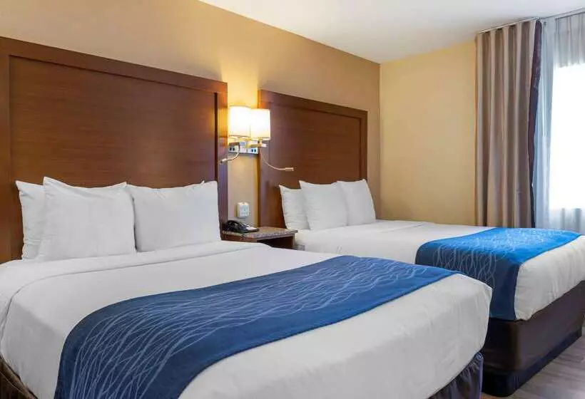 Отель Comfort Inn Gaslamp Convention Center