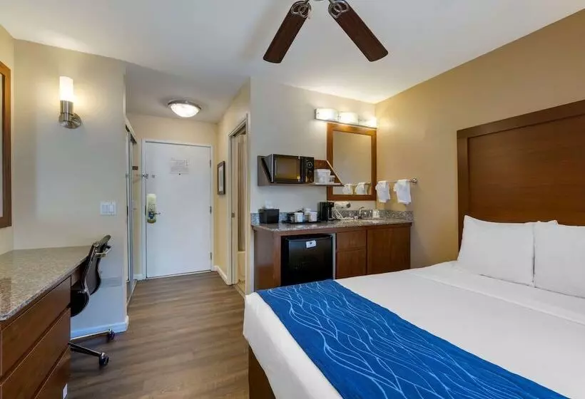 Отель Comfort Inn Gaslamp Convention Center