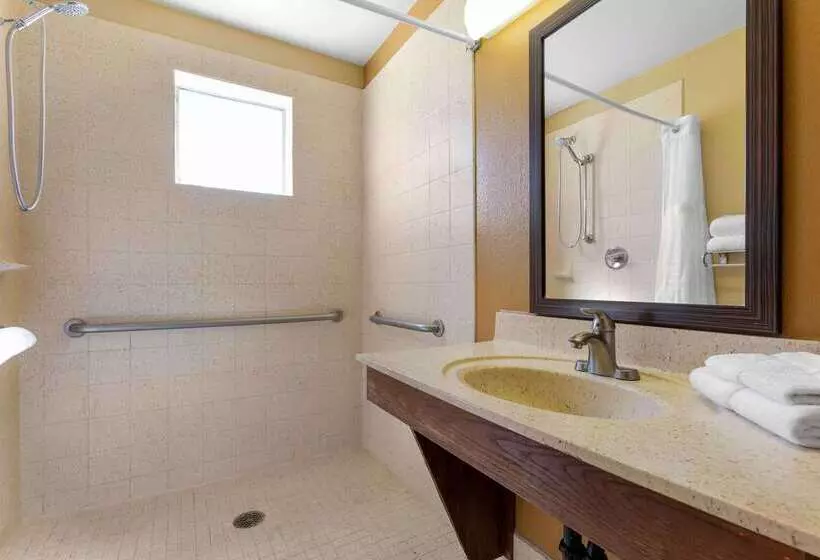 酒店 Extended Stay America Select Suites Phoenix Airport E Oak St