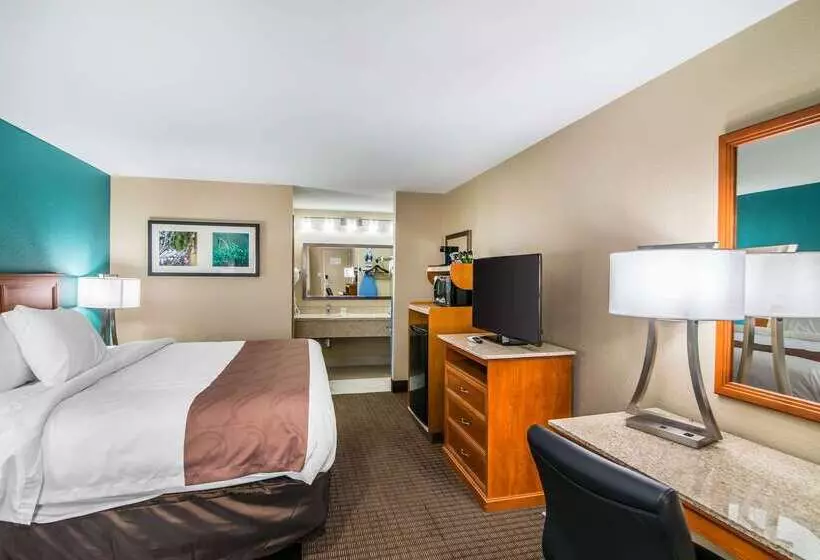 هتل Quality Inn & Suites Near White Sands National Park