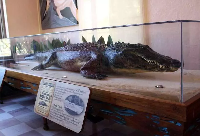 فندق The Lodge At Wakulla Springs