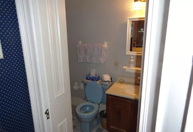 בית מלון כפרי Victorian Inn B&b