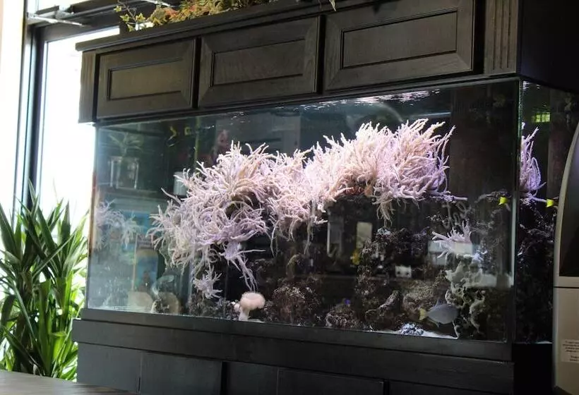 Отель Village Inn Destin