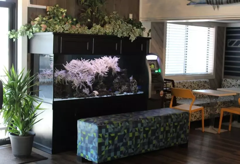 Отель Village Inn Destin