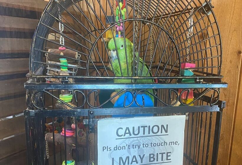 هتل Village Inn Destin