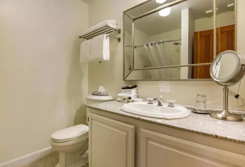 酒店 Wild Iris Inn