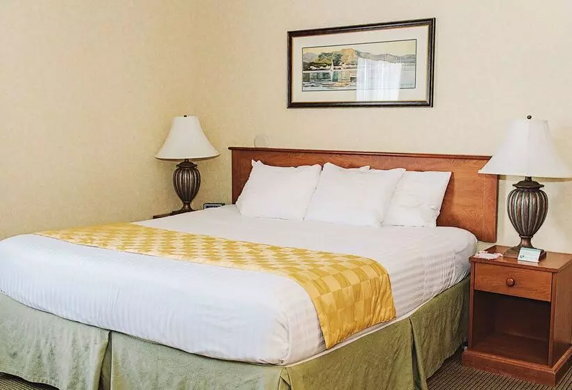 مُتل Lavissh Inn & Suites