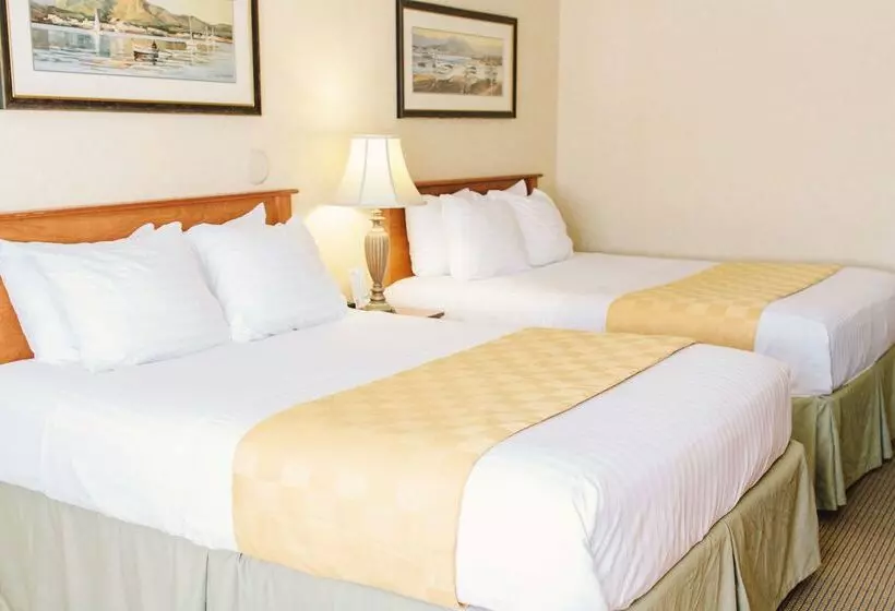 مُتل Lavissh Inn & Suites