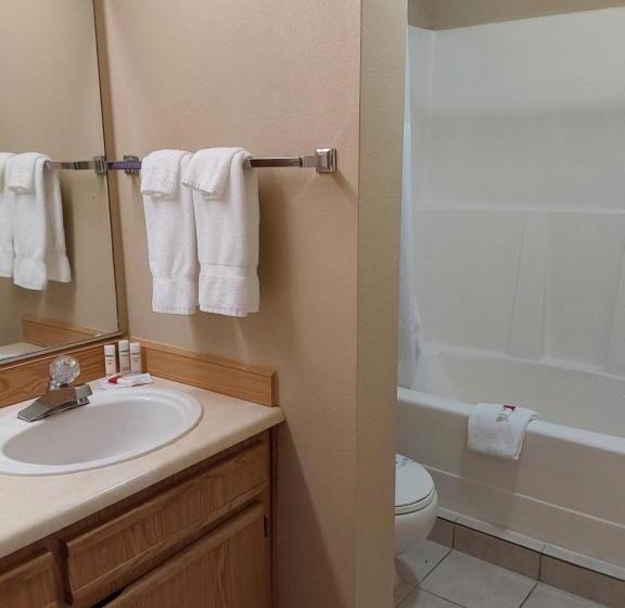 فندق على الطريق Lavissh Inn & Suites