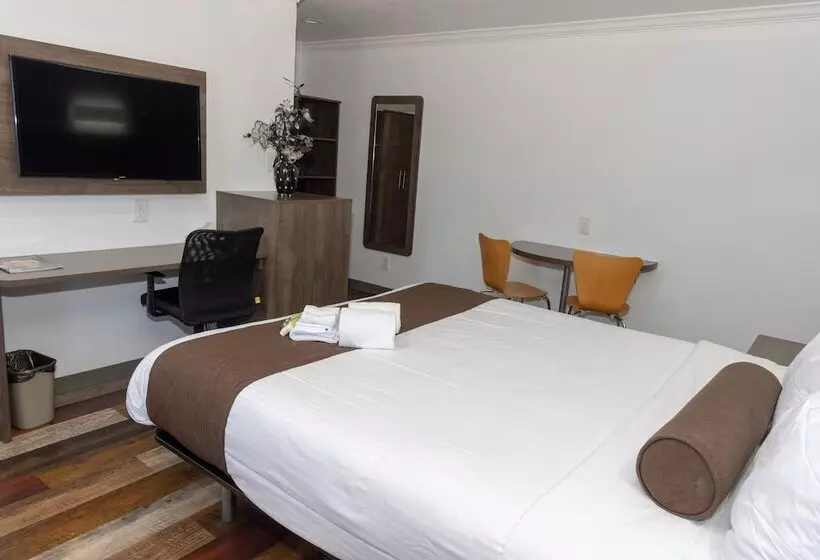 汽车旅馆  Value Inn Bellflower