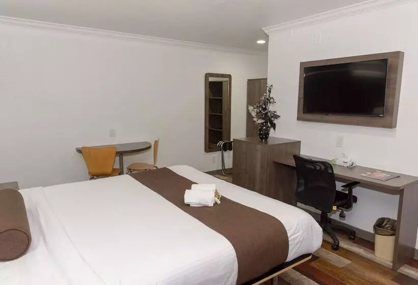 汽车旅馆  Value Inn Bellflower