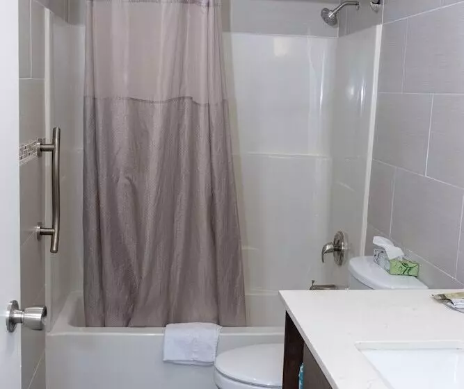 汽车旅馆  Value Inn Bellflower