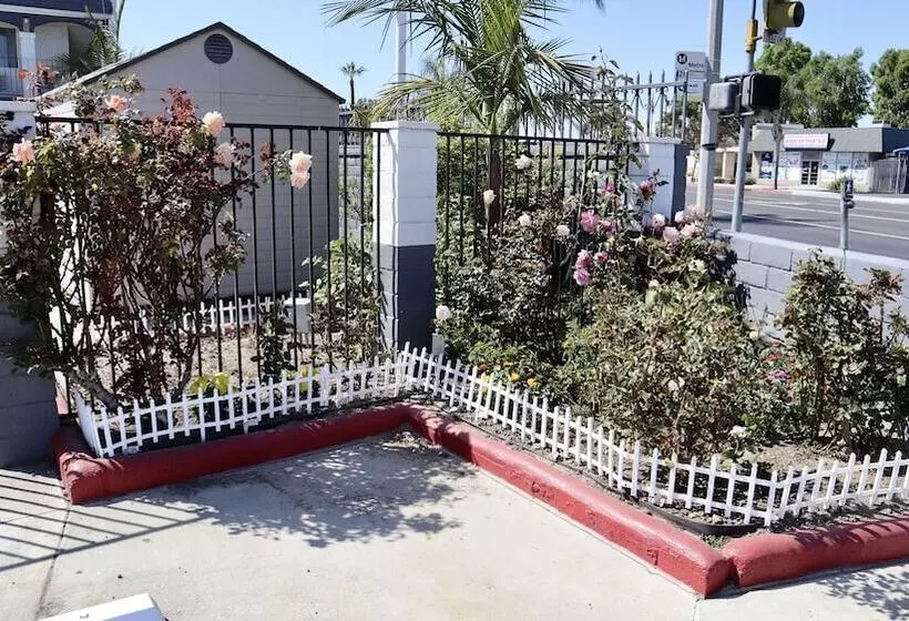 汽车旅馆  Value Inn Bellflower