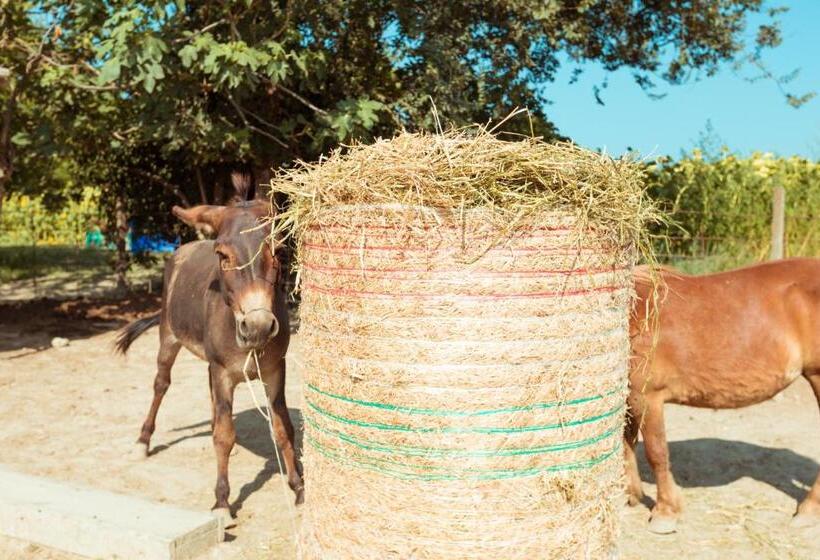 Hotel Agriturismo Da Pudech