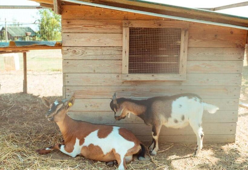 Hotel Agriturismo Da Pudech