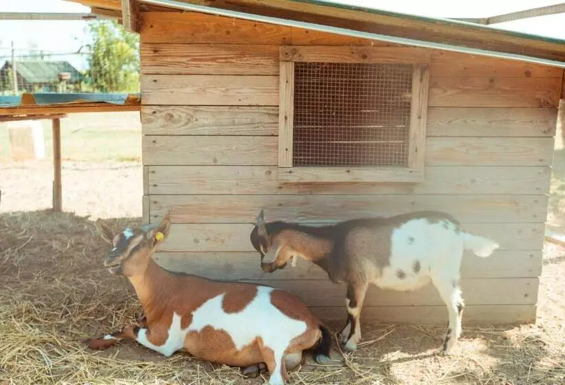 ホテル Agriturismo Da Pudech