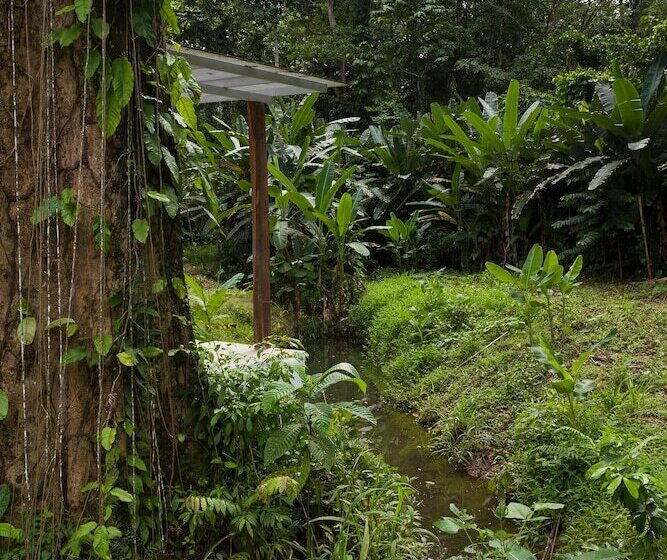 هتل Sonora Jungle & Yoga Retreat